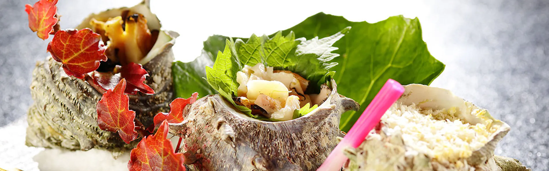 牧水荘 土肥館