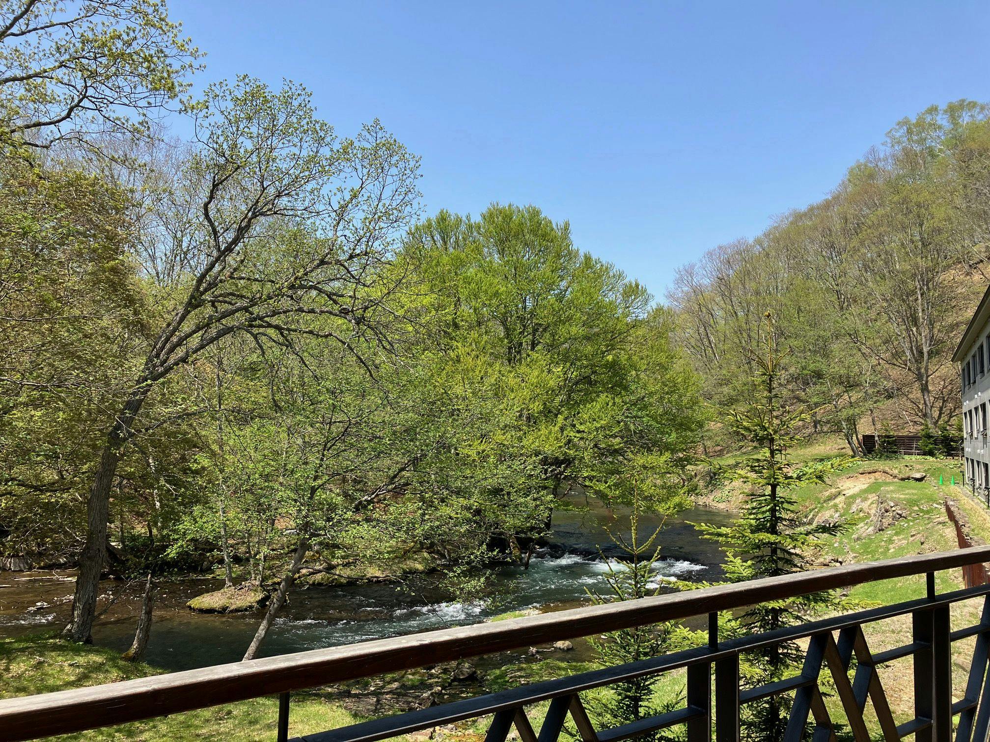 透過新綠浴放鬆與煥然一新