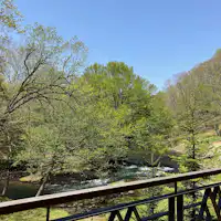 透過新綠浴放鬆與煥然一新