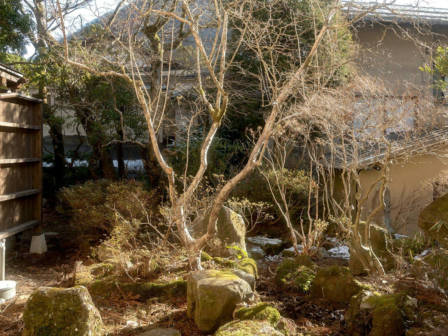 箱根の名湯　松坂屋本店