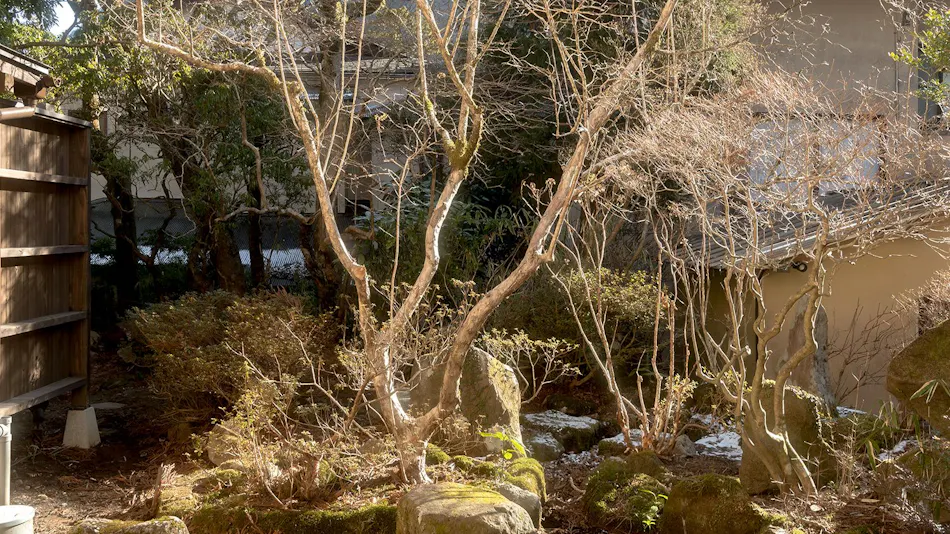 Matsuzakaya Honten