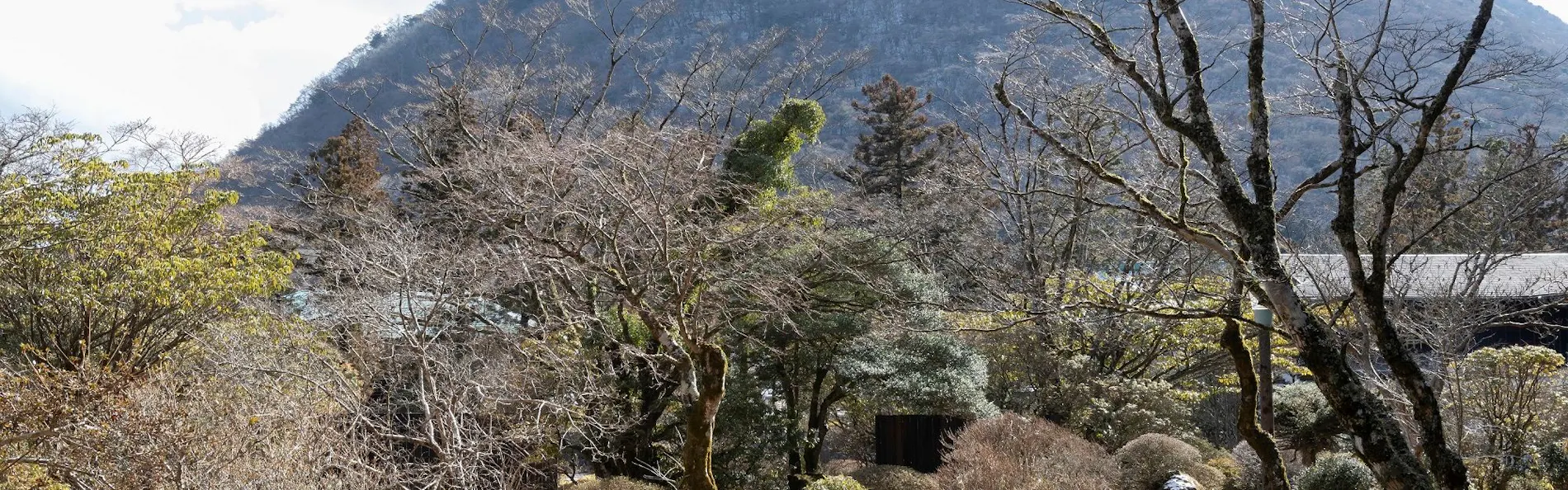 箱根の名湯 松坂屋本店