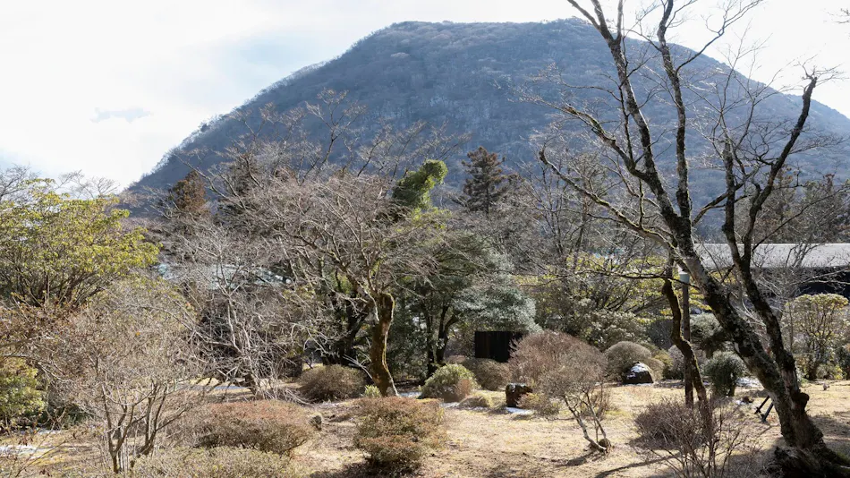 Matsuzakaya Honten