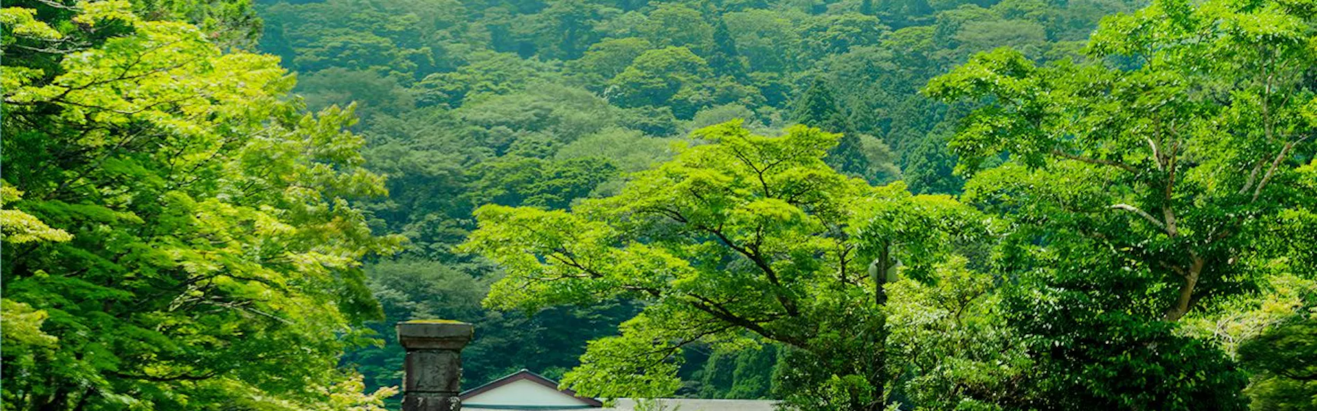 箱根の名湯 松坂屋本店