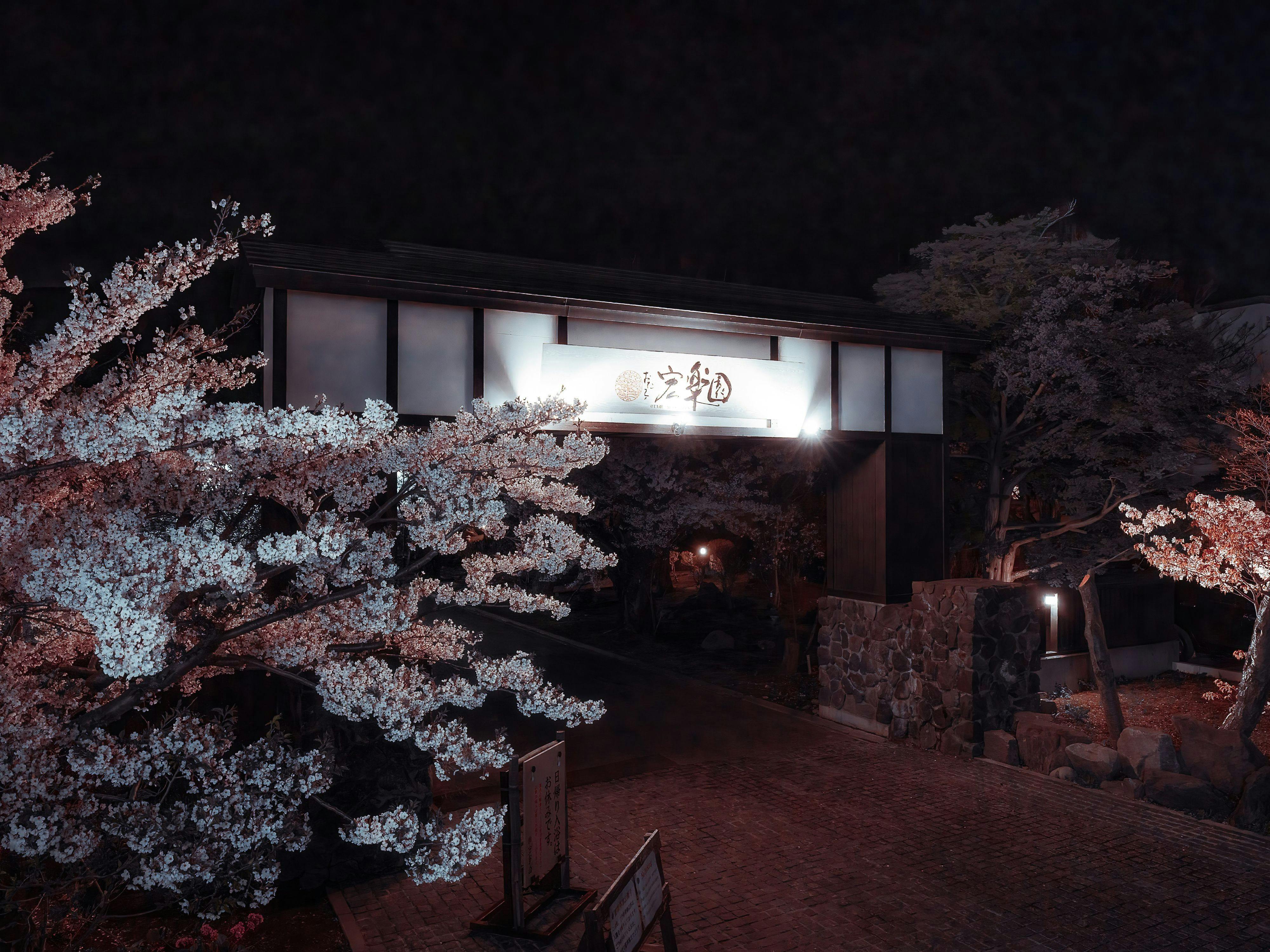 春　外観③