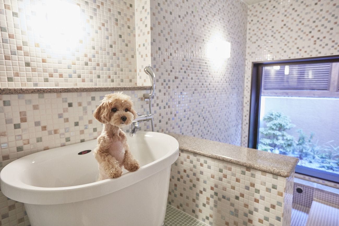 ルシアン旧軽井沢 の空室状況を確認する 宿泊予約は 一休 Com