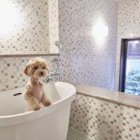 ルシアン旧軽井沢 の空室状況を確認する 宿泊予約は 一休 Com ルシアン旧軽井沢 の空室状況を確認する 宿泊予約は 一休 Com