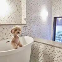 【貸切ペットバス】