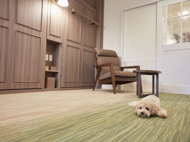 ルシアン旧軽井沢 の空室状況を確認する 宿泊予約は 一休 Com ルシアン旧軽井沢 の空室状況を確認する 宿泊予約は 一休 Com