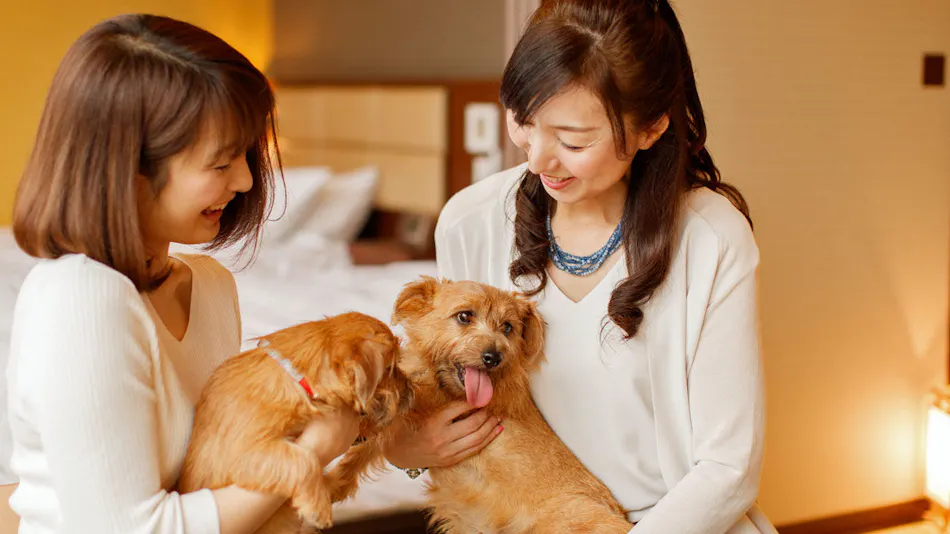 Hotel Mori no Kaze Nasu