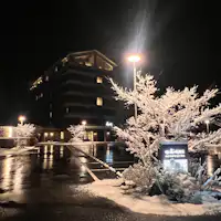 雪景色燈光秀