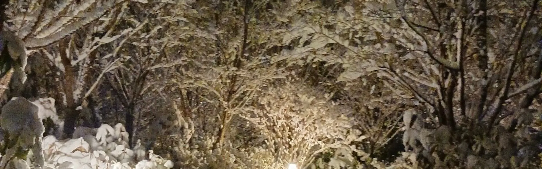 ホテル森の風那須