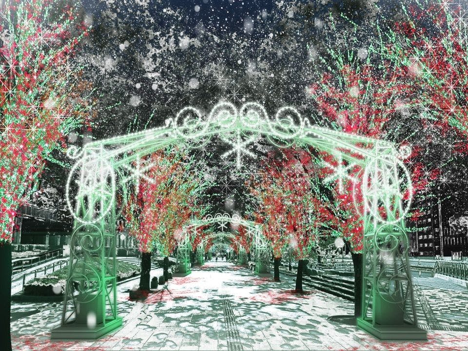 年末の風物詩「光の饗宴」