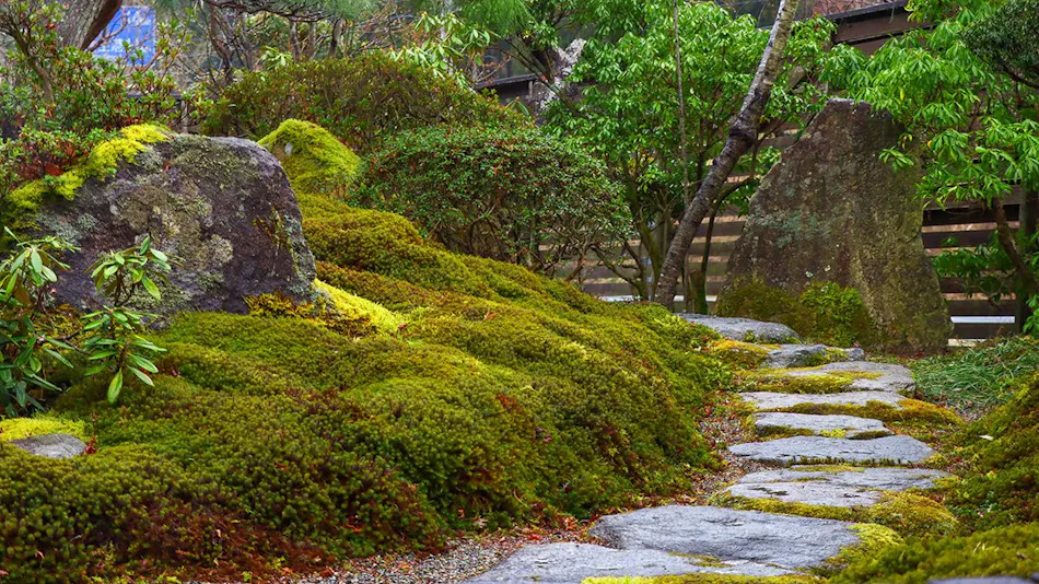 Okutamakawa Onsen Suwaya