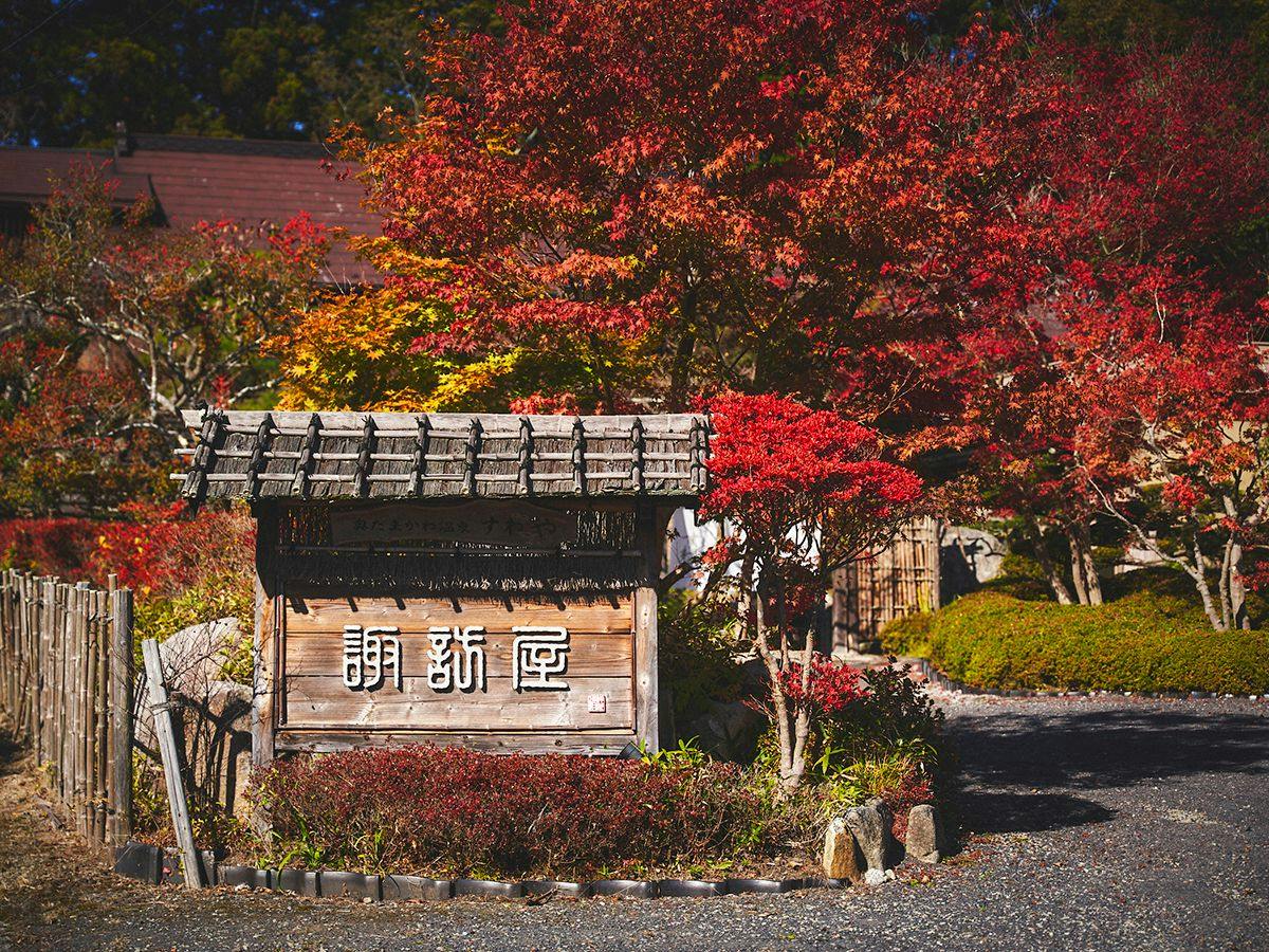 奥たまかわ温泉　すわや