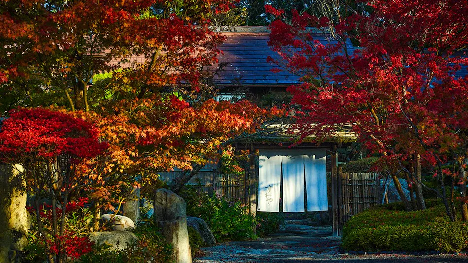 Okutamakawa Onsen Suwaya