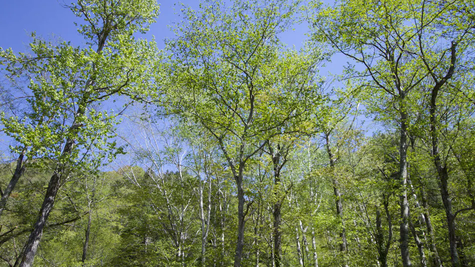 Oku Jozankei Onsen Kasho Gyoen