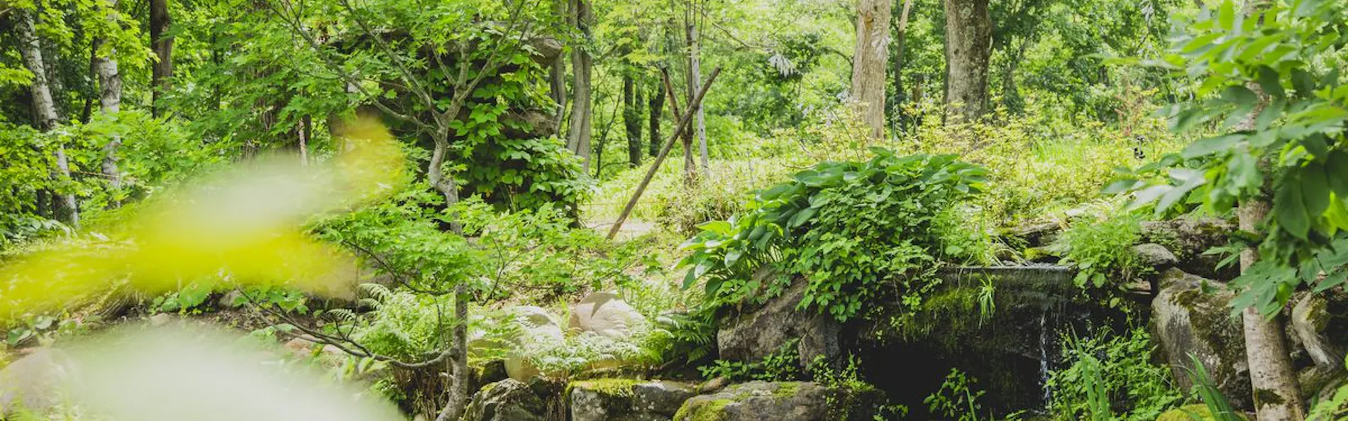 奥定山渓温泉 佳松御苑