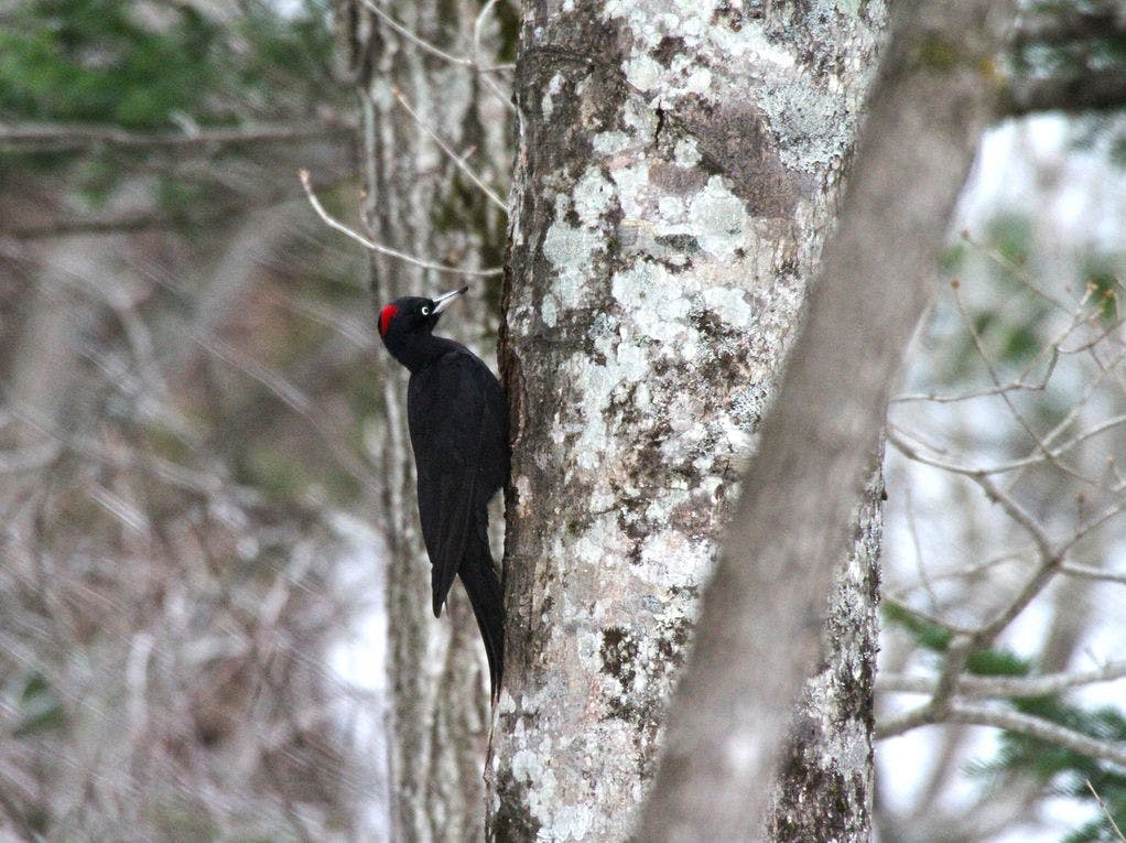 奥定山渓温泉　佳松御苑