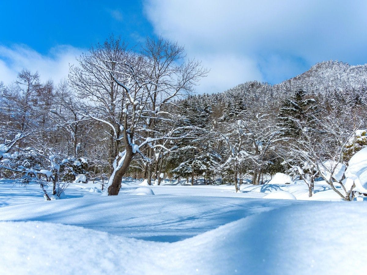 奥定山渓温泉　佳松御苑
