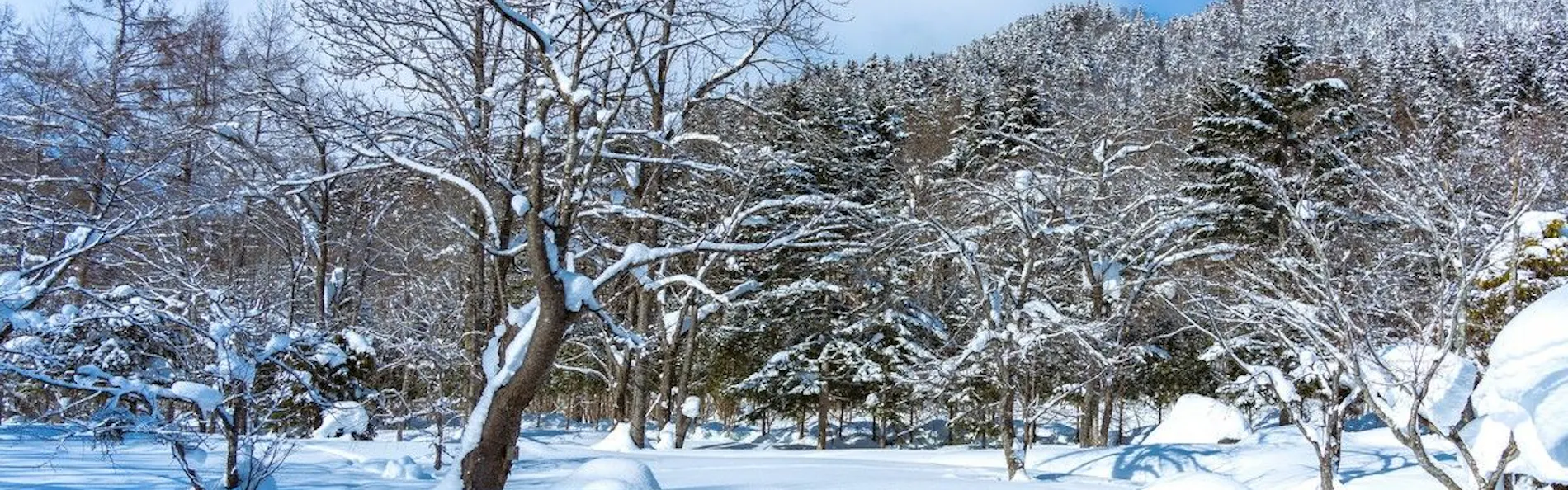奥定山渓温泉 佳松御苑