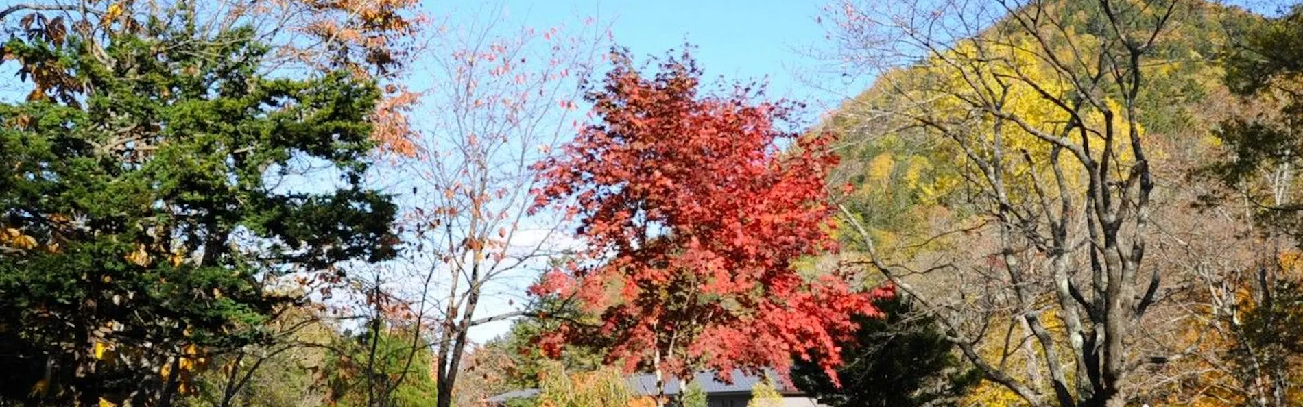 奥定山渓温泉 佳松御苑