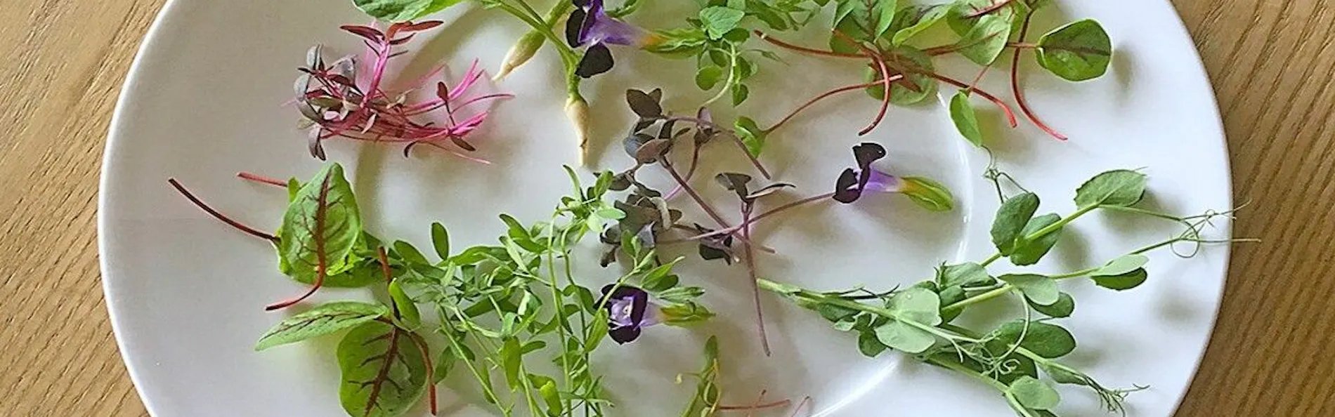奥定山渓温泉 佳松御苑