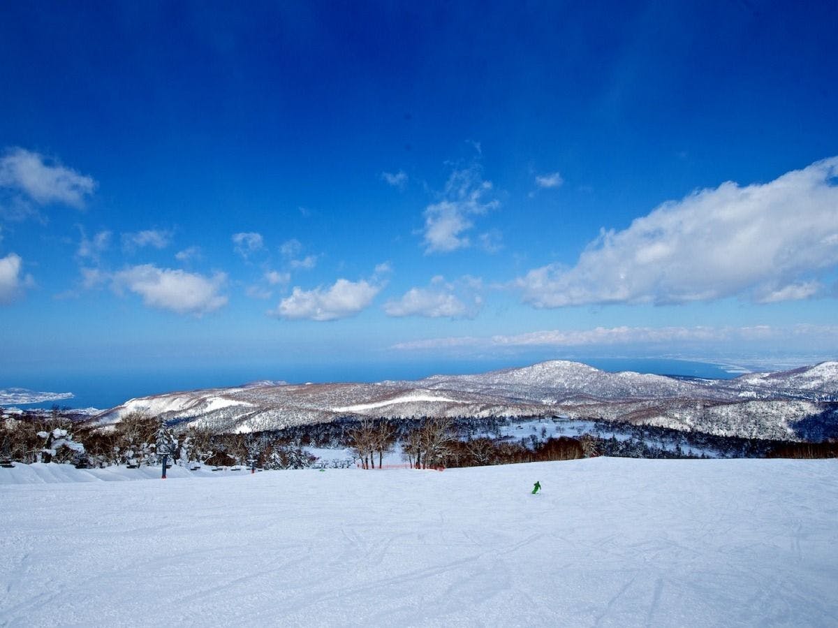 パウダースノーで人気の札幌国際スキー場