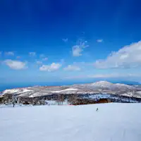 パウダースノーで人気の札幌国際スキー場
