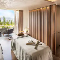 Spa Double Treatment