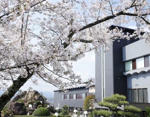 春には庭園に桜が咲き誇ります。