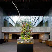 ロビー アクアリウム