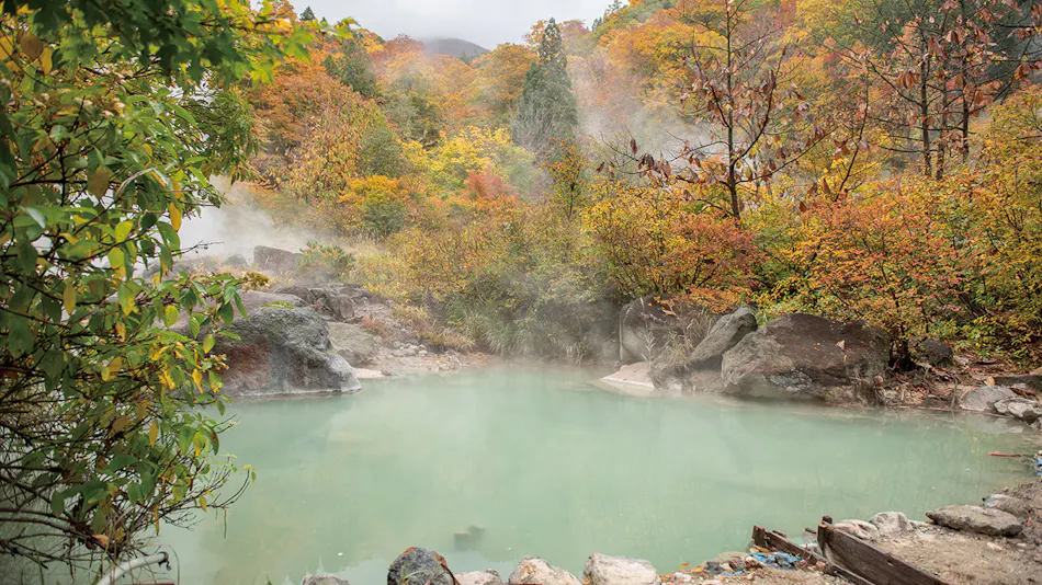 Yukemuri no Yado Inazumi Onsen (Kyoritsu Resort)