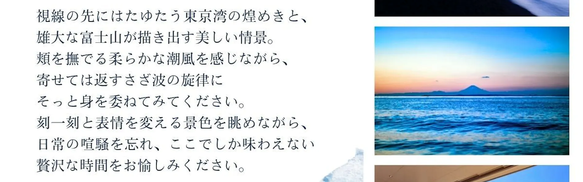 さざね