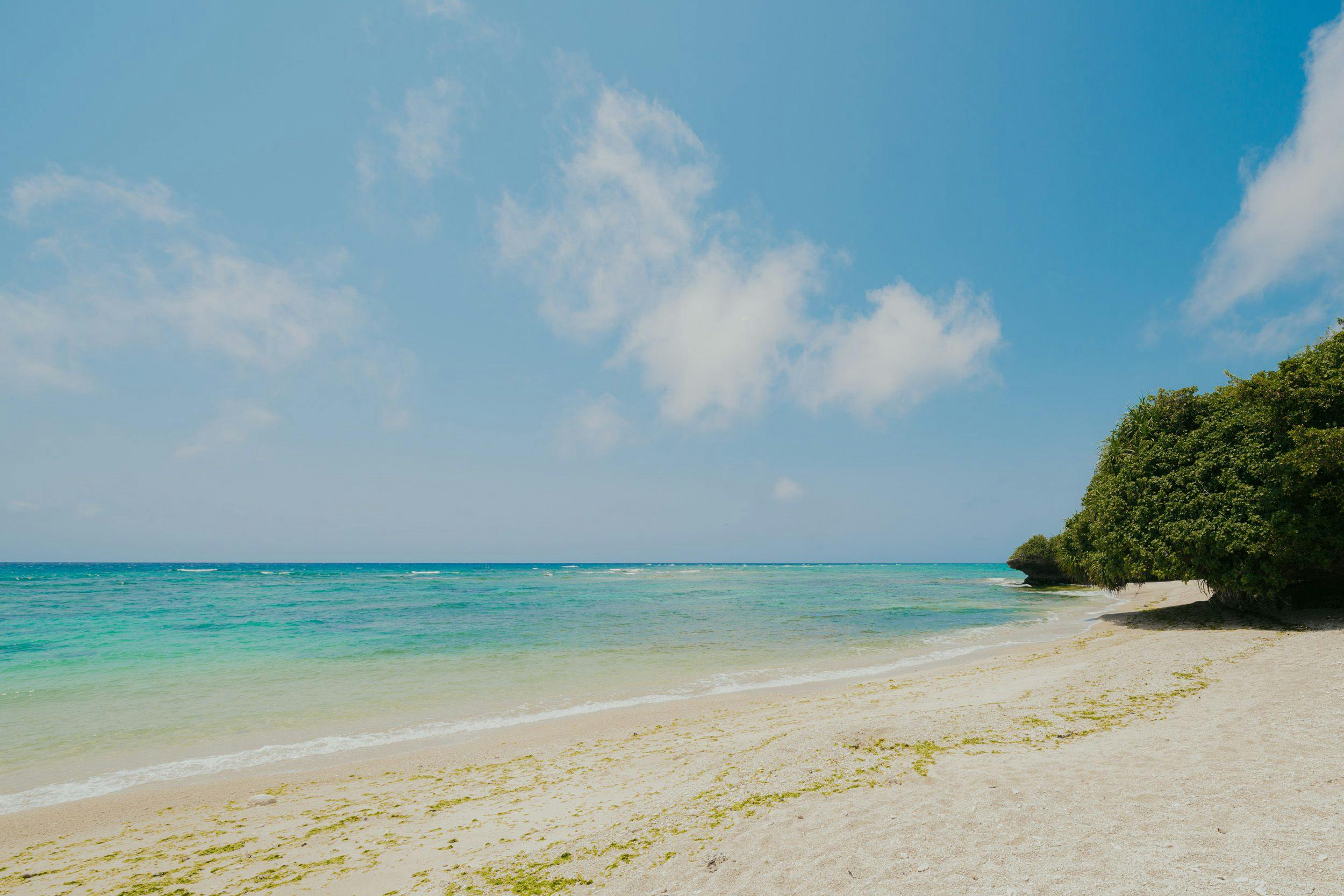 Anse Yomitan Toya