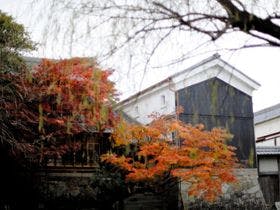 写真：旅籠 八...