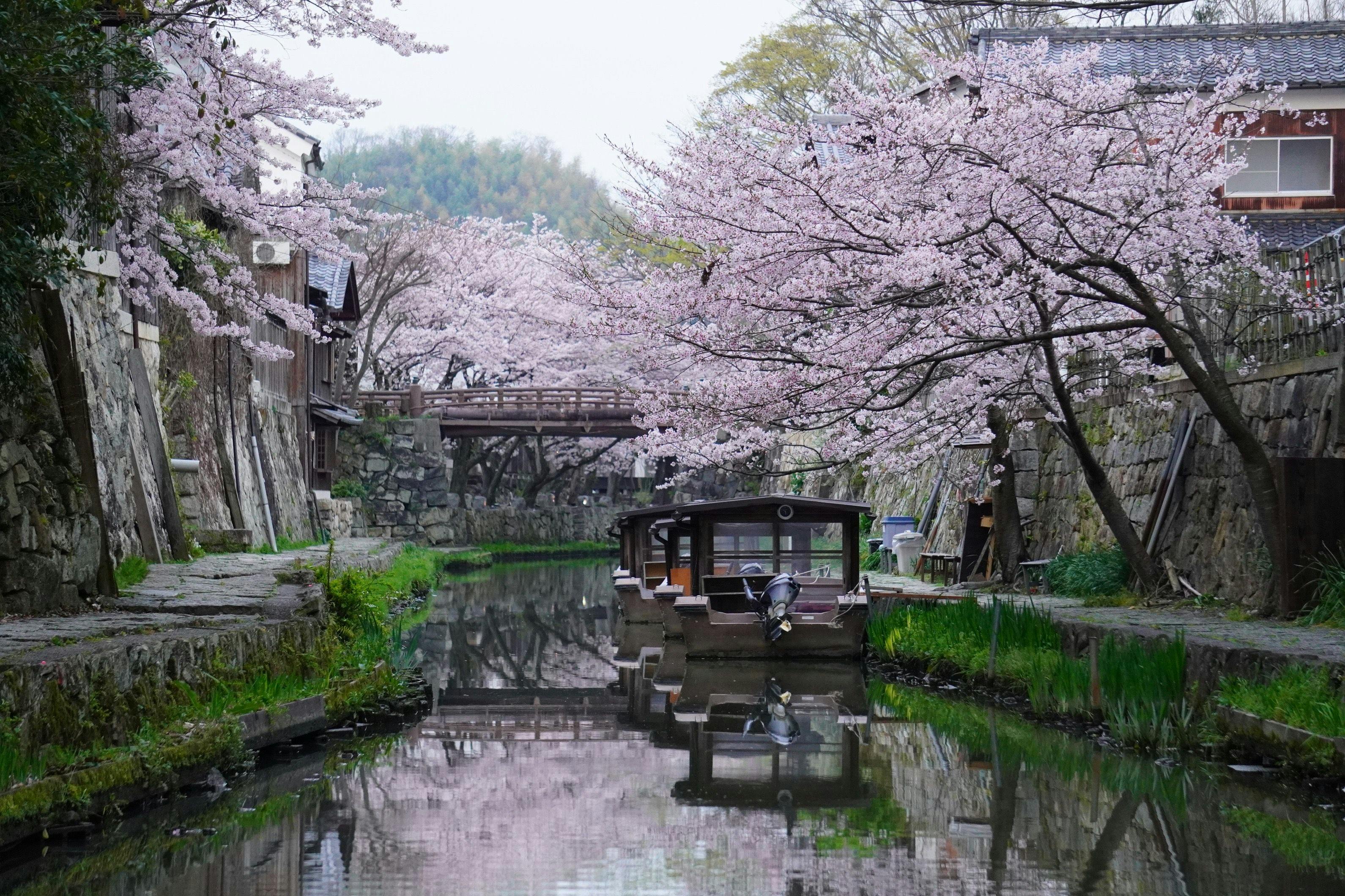 旅籠 八...