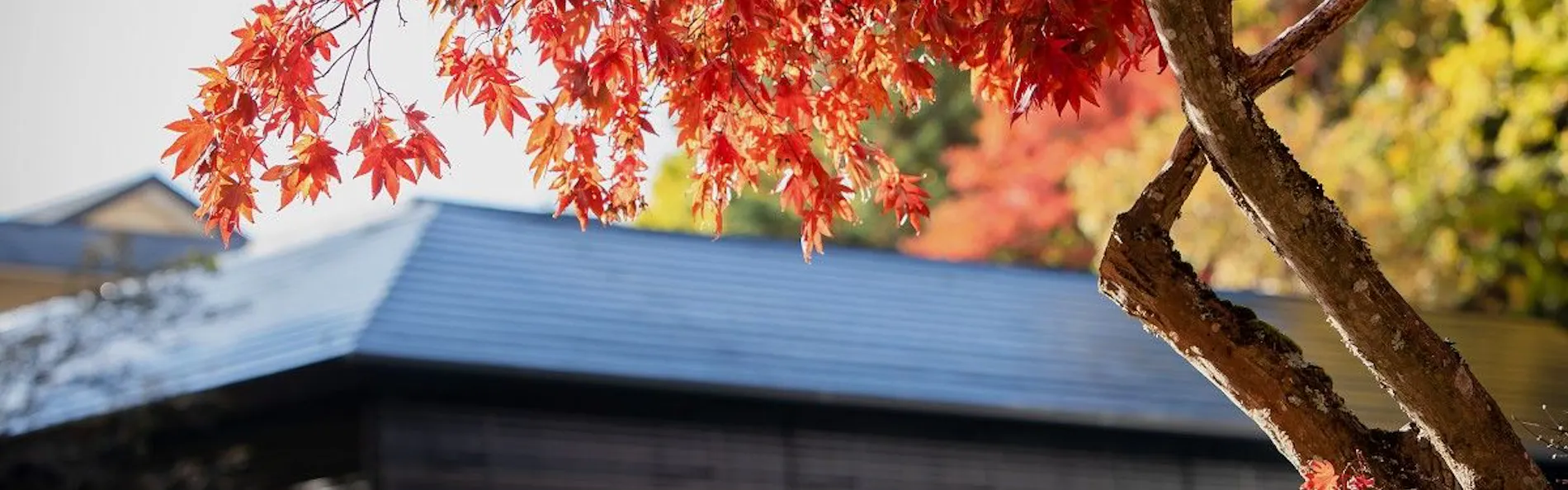 創業大正十五年 蓼科 親湯温泉