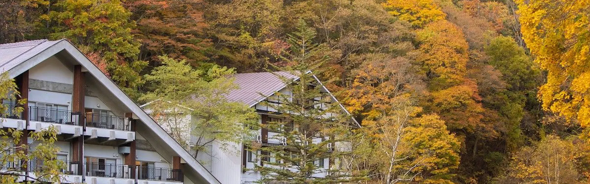 創業大正十五年 蓼科 親湯温泉