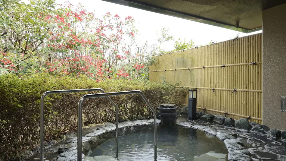 Kamenoi Hotel Izu Kogen