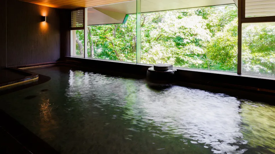 Kamenoi Hotel Izu Kogen
