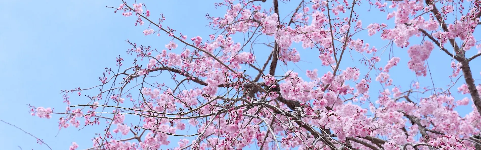 欅の宿 縁