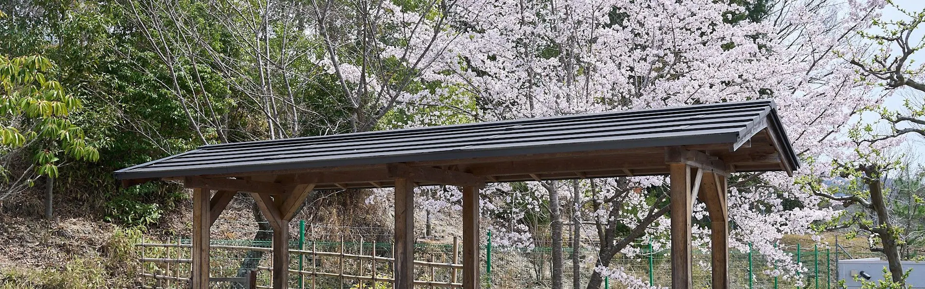 欅の宿 縁