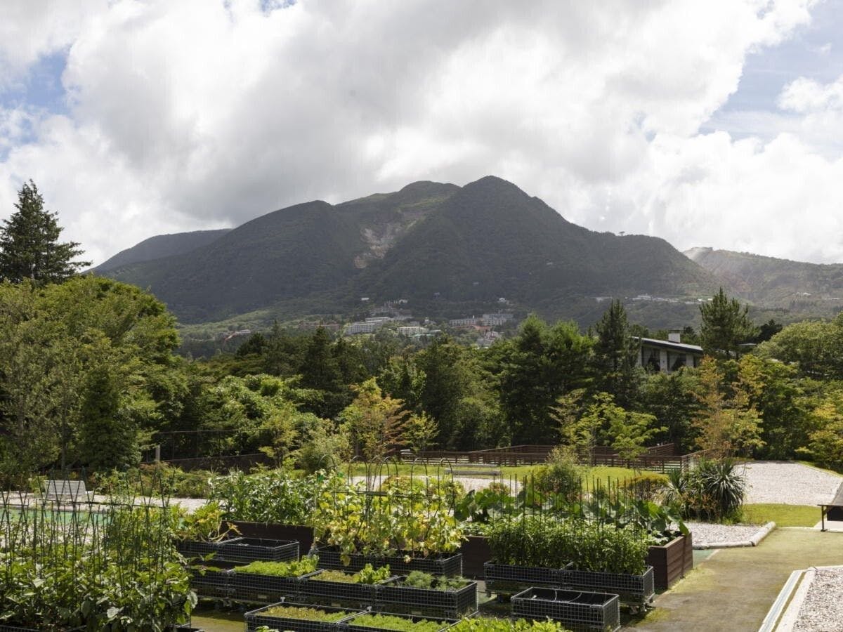 【포레스트 테라스】