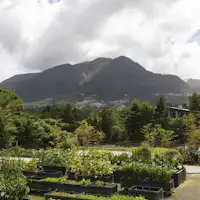 【포레스트 테라스】