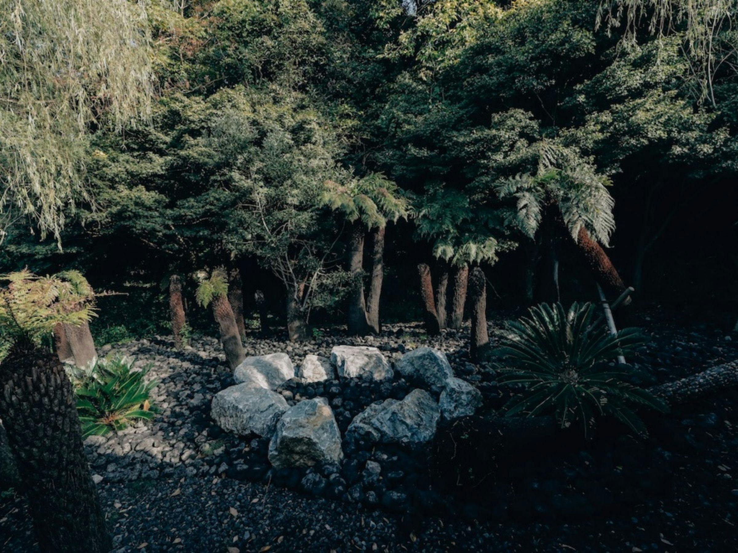BOTANICAL POOL CLUB