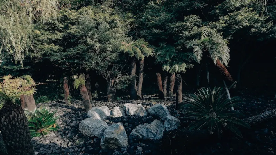 BOTANICAL POOL CLUB