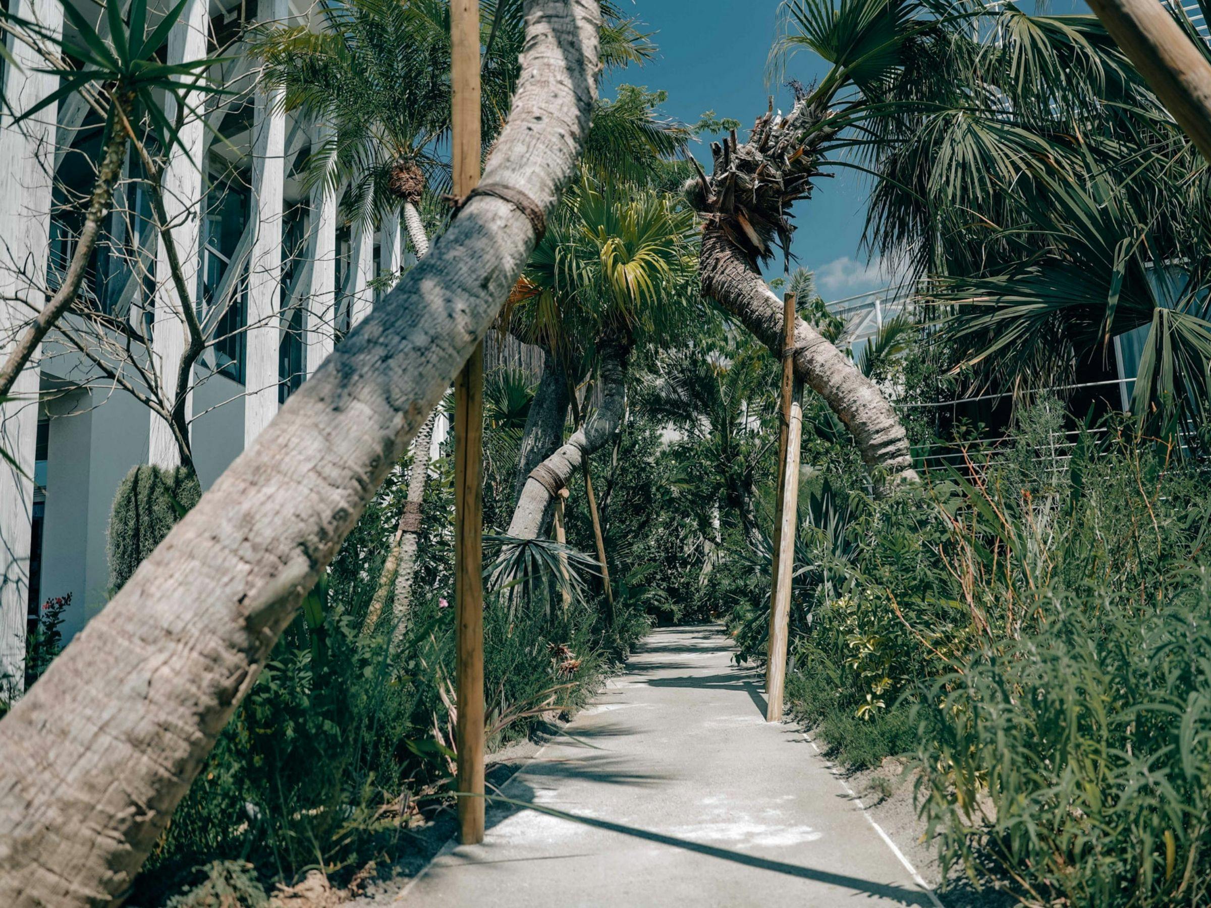 BOTANICAL POOL CLUB