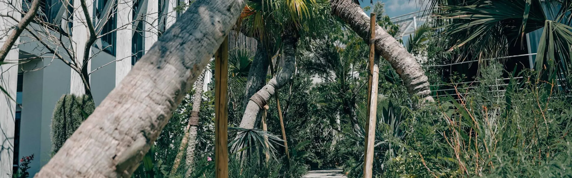 BOTANICAL POOL CLUB