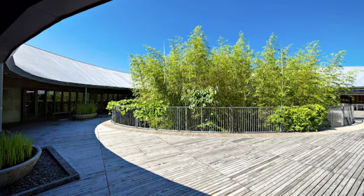 【牧野植物園入場券付】博士ゆかりの野生植物をファミリーで楽しむ/夕朝食付 All Inclusive